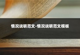 情况说明范文-情况说明范文模板