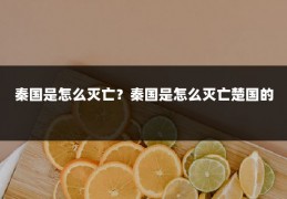 秦国是怎么灭亡？秦国是怎么灭亡楚国的