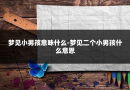 梦见小男孩意味什么-梦见二个小男孩什么意思