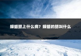 蝾螈鳃上什么病？蝾螈的鳃叫什么