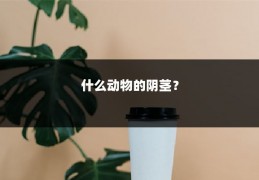 什么动物的阴茎？