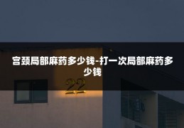 宫颈局部麻药多少钱-打一次局部麻药多少钱