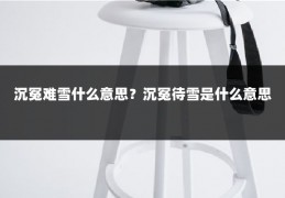 沉冤难雪什么意思？沉冤待雪是什么意思