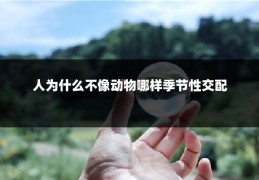 人为什么不像动物哪样季节性交配