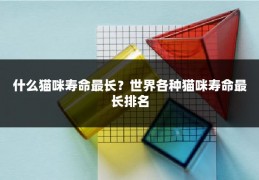 什么猫咪寿命最长?世界各种猫咪寿命最长排名