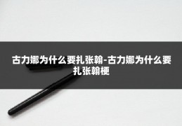 古力娜为什么要扎张翰-古力娜为什么要扎张翰梗