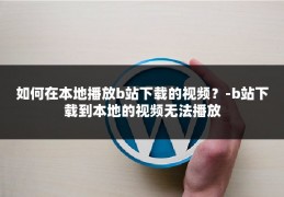 如何在本地播放b站下载的视频？-b站下载到本地的视频无法播放