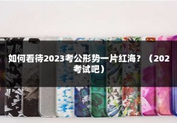 如何看待2023考公形势一片红海？（202考试吧）
