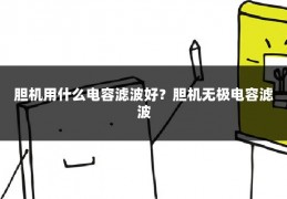 胆机用什么电容滤波好？胆机无极电容滤波