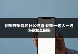 附睾在睾丸的什么位置-附睾一边大一边小是怎么回事