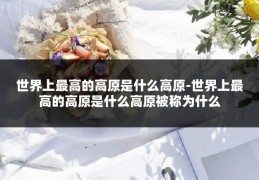 世界上最高的高原是什么高原-世界上最高的高原是什么高原被称为什么