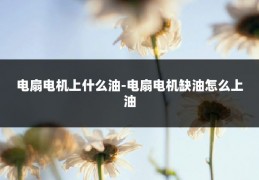 电扇电机上什么油-电扇电机缺油怎么上油