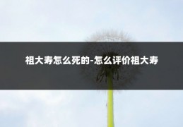 祖大寿怎么死的-怎么评价祖大寿