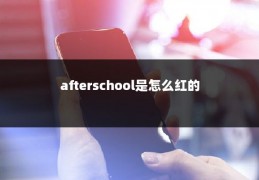 afterschool是怎么红的