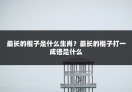 最长的棍子是什么生肖？最长的棍子打一成语是什么