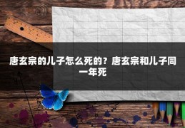 唐玄宗的儿子怎么死的？唐玄宗和儿子同一年死