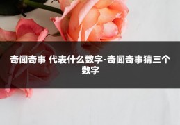 奇闻奇事 代表什么数字-奇闻奇事猜三个数字