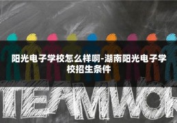 阳光电子学校怎么样啊-湖南阳光电子学校招生条件