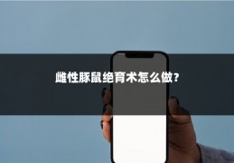 雌性豚鼠绝育术怎么做？