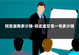 权志龙有多少钱-权志龙空军一号多少钱