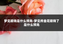 梦见输钱是什么预兆-梦见炸金花输钱了是什么预兆