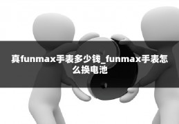 真funmax手表多少钱_funmax手表怎么换电池
