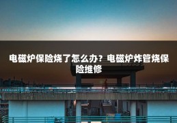 电磁炉保险烧了怎么办?电磁炉炸管烧保险维修