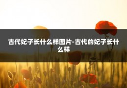古代妃子长什么样图片-古代的妃子长什么样