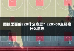 图纸里面的c20什么意思?c20×00直肠癌什么意思