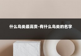 什么鸟类最高贵-有什么鸟类的名字