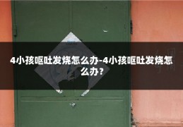 4小孩呕吐发烧怎么办-4小孩呕吐发烧怎么办?