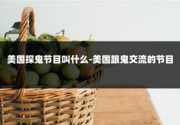 美国探鬼节目叫什么-美国跟鬼交流的节目