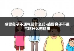 感冒鼻子不通气买什么药-感冒鼻子不通气吃什么药管用