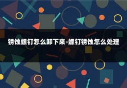锈蚀螺钉怎么卸下来-螺钉锈蚀怎么处理