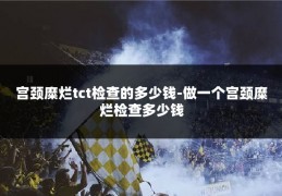 宫颈糜烂tct检查的多少钱-做一个宫颈糜烂检查多少钱