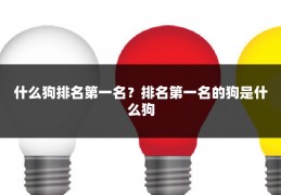 什么狗排名第一名?排名第一名的狗是什么狗