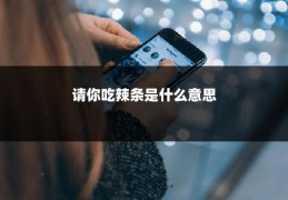 请你吃辣条是什么意思