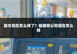 猿女现在怎么样了？猿辅导公司现在怎么样