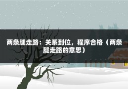 两条腿走路：关系到位，程序合格（两条腿走路的意思）