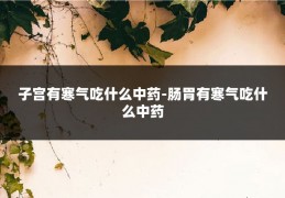 子宫有寒气吃什么中药-肠胃有寒气吃什么中药