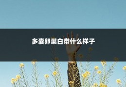 多囊卵巢白带什么样子