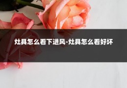 灶具怎么看下进风-灶具怎么看好坏