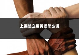 上课起立用英语怎么说