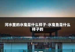 河水里的水鬼是什么样子-水鬼鱼是什么样子的