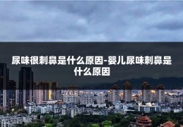 尿味很刺鼻是什么原因-婴儿尿味刺鼻是什么原因