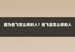 因为岳飞怎么样的人？岳飞是怎么样的人