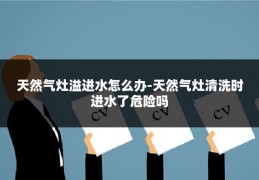 天然气灶溢进水怎么办-天然气灶清洗时进水了危险吗