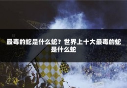 最毒的蛇是什么蛇？世界上十大最毒的蛇是什么蛇