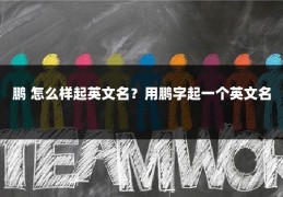 鹏 怎么样起英文名？用鹏字起一个英文名