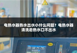 电热水器热水出水小什么问题？电热水器清洗后热水口不出水
